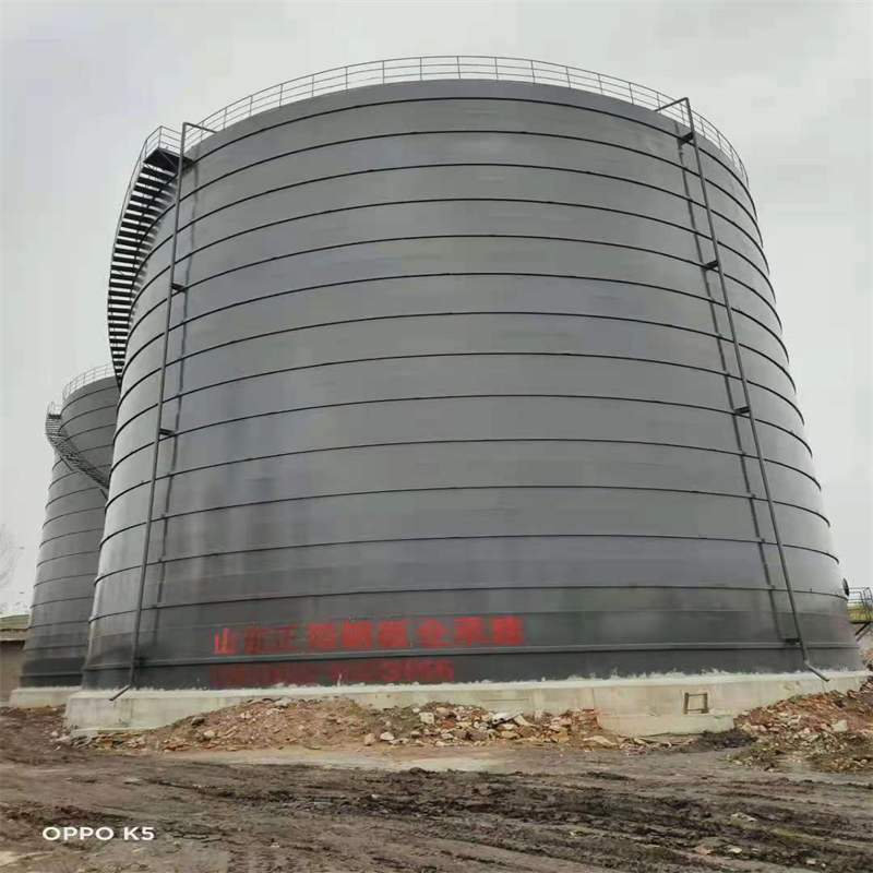 蓝山3万吨大型钢板库