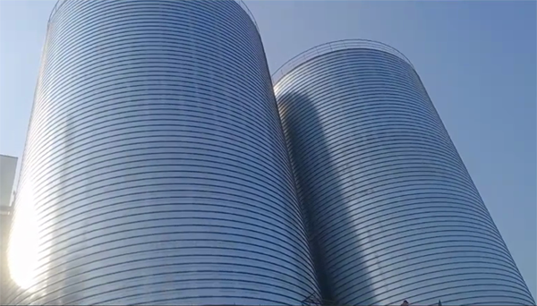 蓝山2座混凝土高架卷板仓